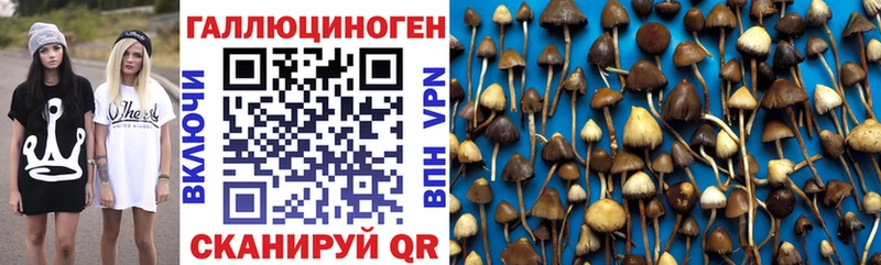 Псилоцибиновые грибы GOLDEN TEACHER  мега зеркало  Темников 